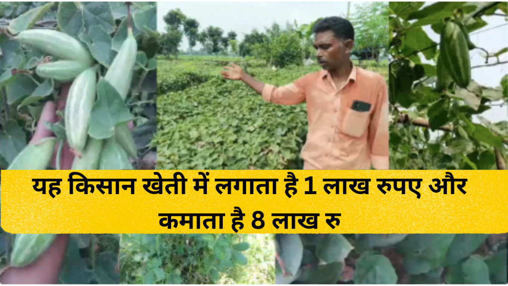 यह किसान खेती में लगाता है 1 लाख रुपए और कमाता है 8 लाख रु