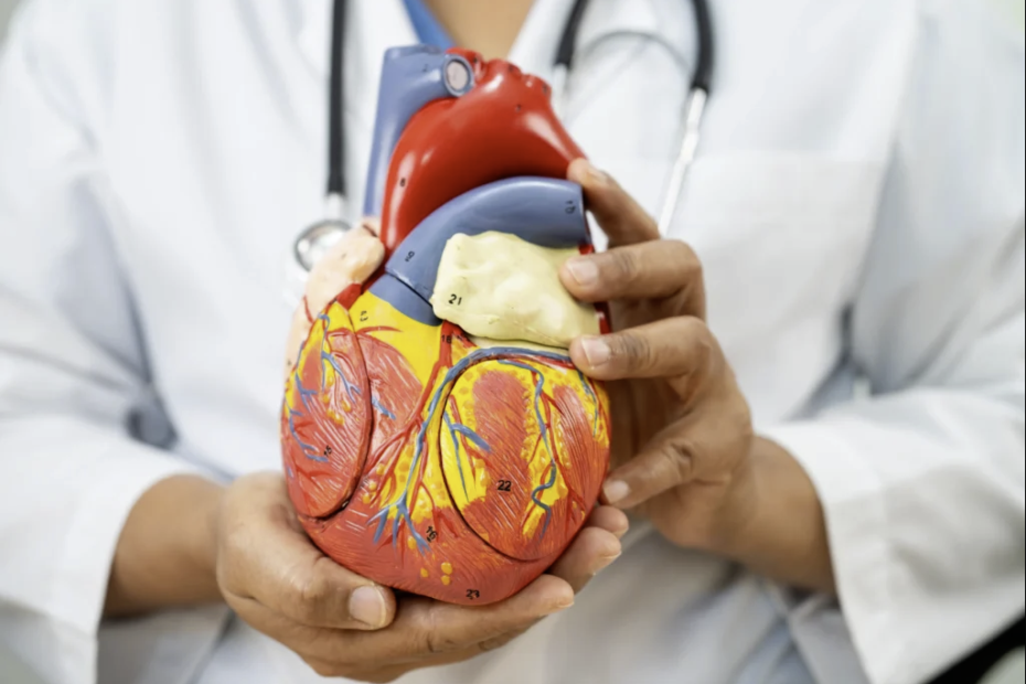 Top 10 Cardiology Doctors in Chennai